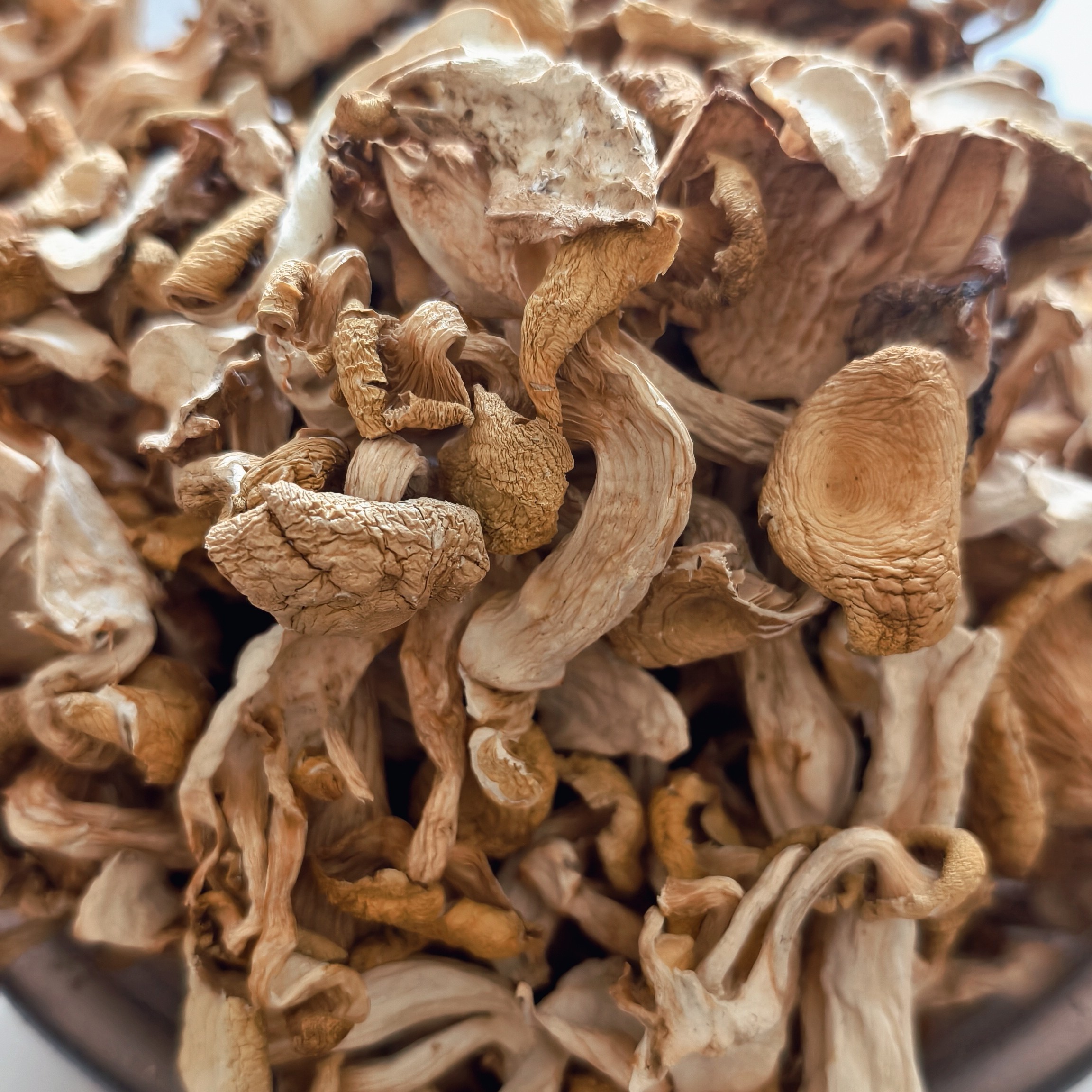 张广财岭东北野生榆黄蘑无硫干货肉厚脆嫩煲汤干锅爆炒食材