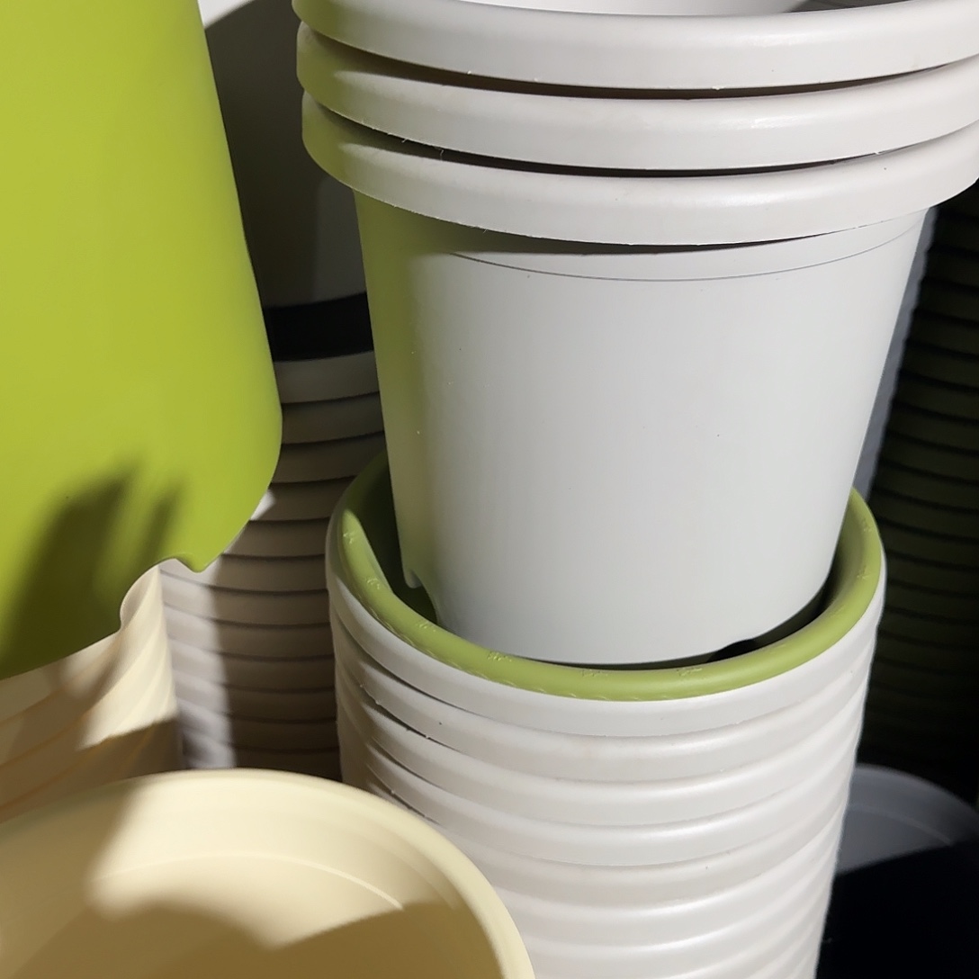 树脂四季4号无托8个灰白微瑕