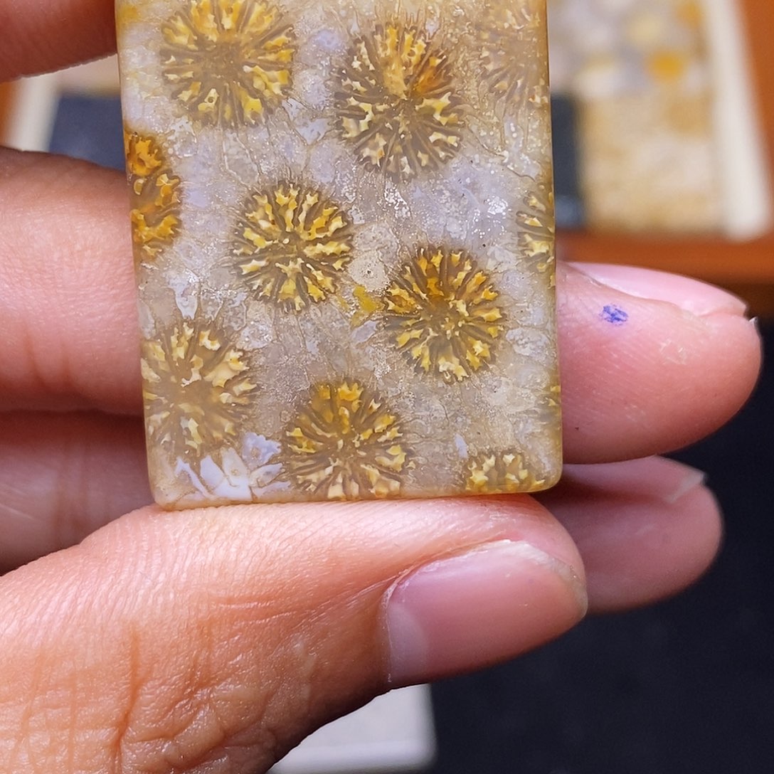 见***面合金珊瑚玉硅化玉