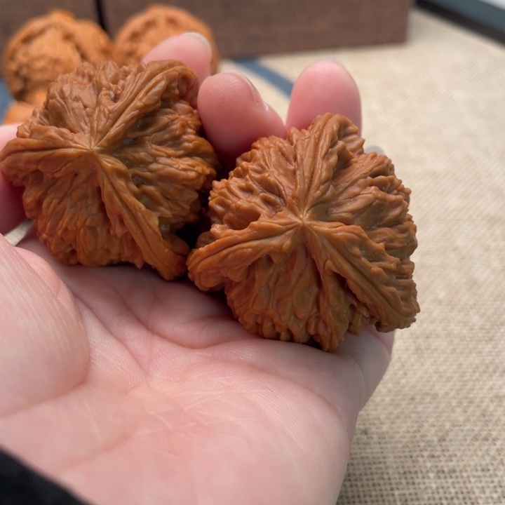 奇***迹银S925白狮子核桃