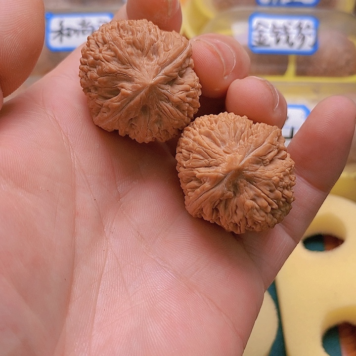 文玩核桃把件边34肚36大蒜头