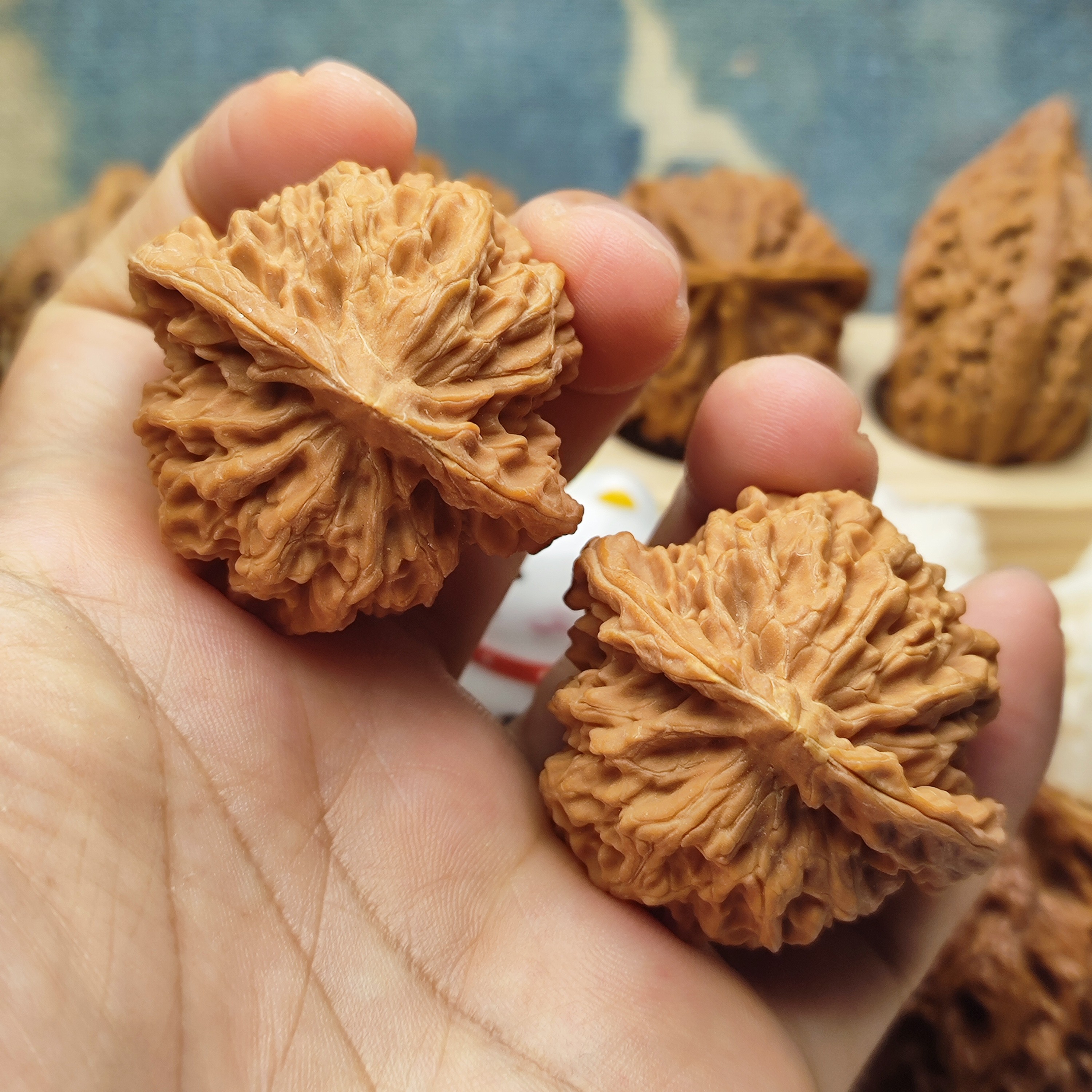 京八对，边42，宽边大肚，珊湖纹十字金钱底，骨质硬份量沉上色牛津红