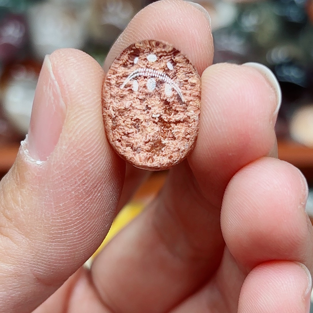 未镶嵌水晶颈饰水晶