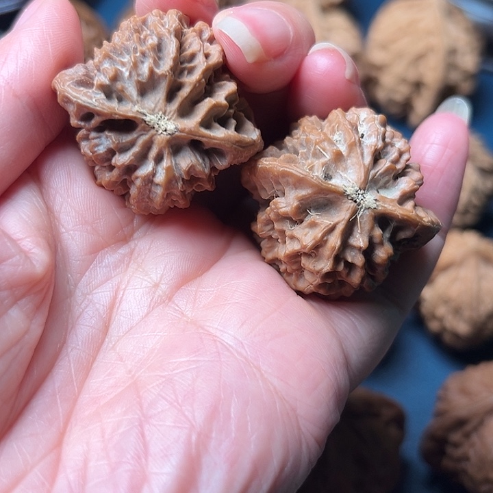 :***P你说什就啥呢就行