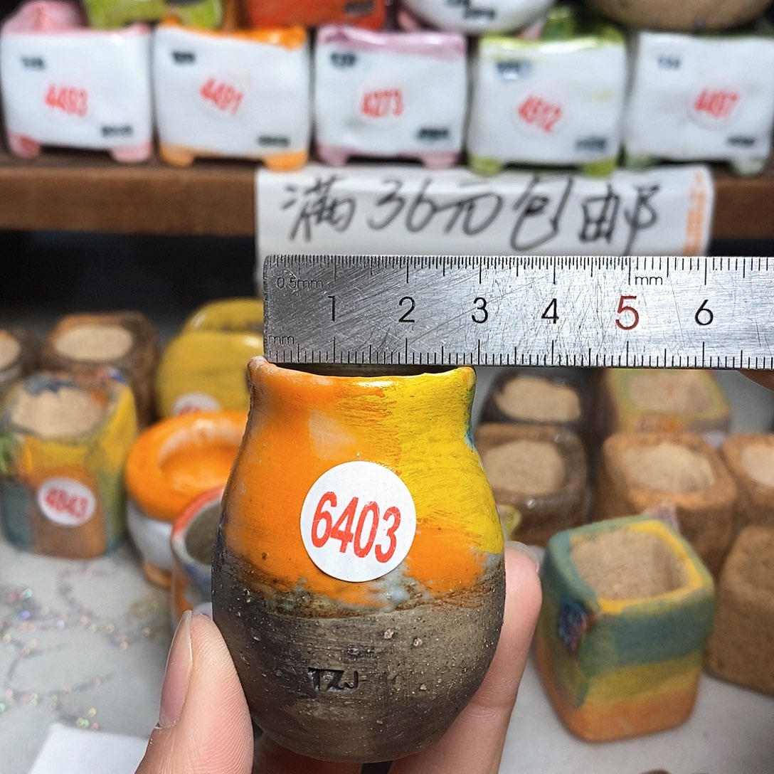 红陶拍5送一个小