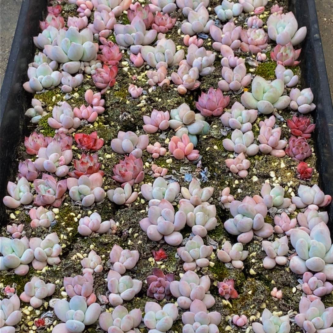 093多人在一起的时候我