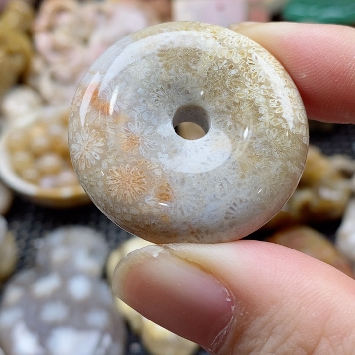 硅化珊瑚（珊瑚玉）颈饰未镶嵌