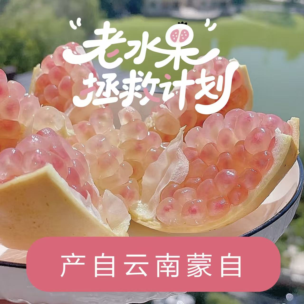 池雨【老水果拯救计划】云南蒙自水晶石榴应季爆甜多汁绿籽石榴