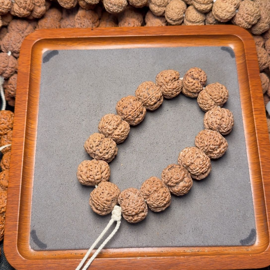 13号尼泊尔大金刚22粗筋梅花五龙