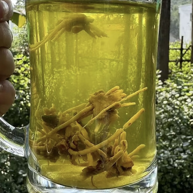 【阿雅专属土特产】龙须角斗菇净含量500g起