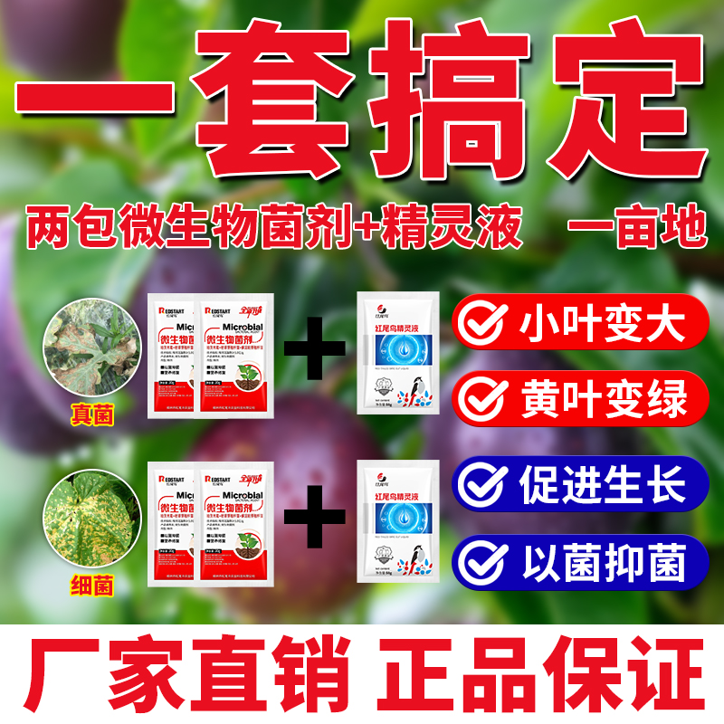 红尾鸟叶片问题一套搞定促生长微生物菌剂蔬菜果蔬植物通用叶面肥