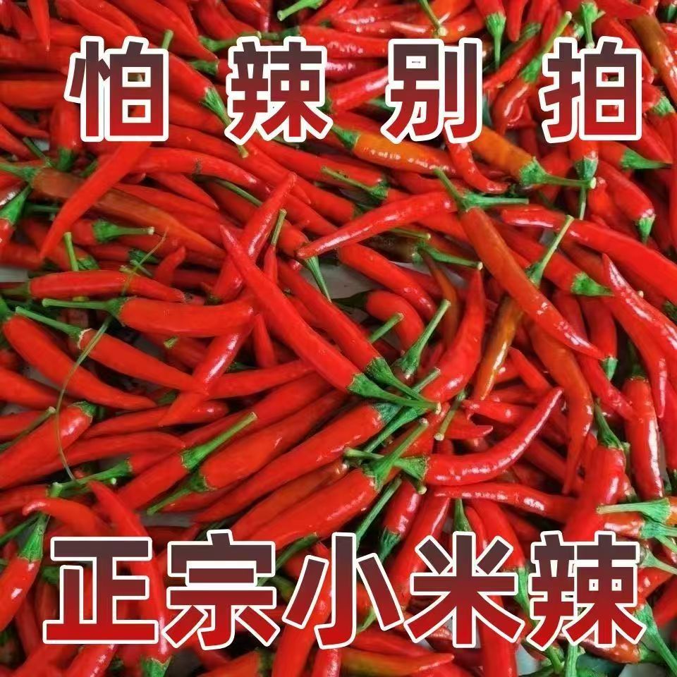新鲜采摘特辣小米椒餐饮巨辣朝天椒指天椒全红小米辣可做泡椒剁椒
