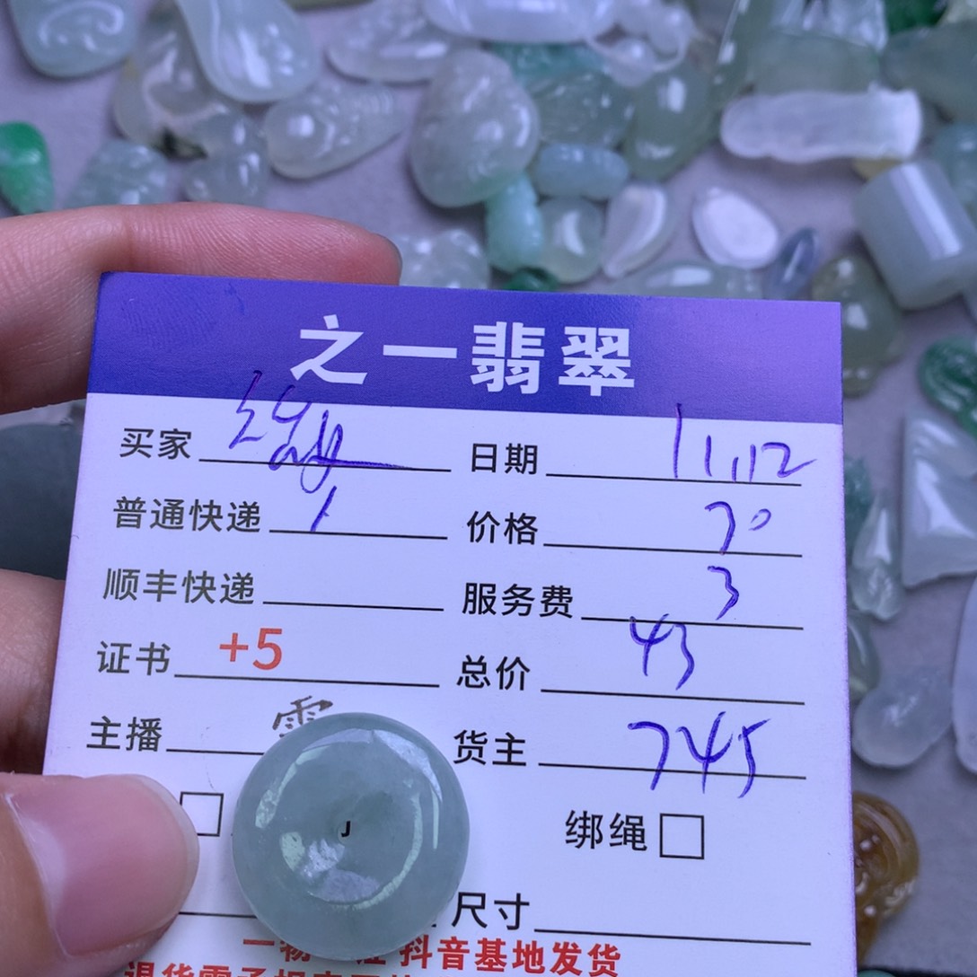 颈饰未镶嵌翡翠微**闪