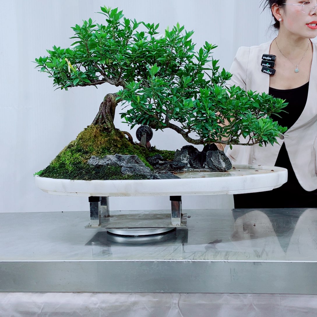 中***建无花朵岭南岭南文化艺术中心的
