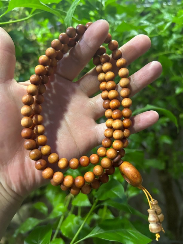 【土特产菇510】净含量28g