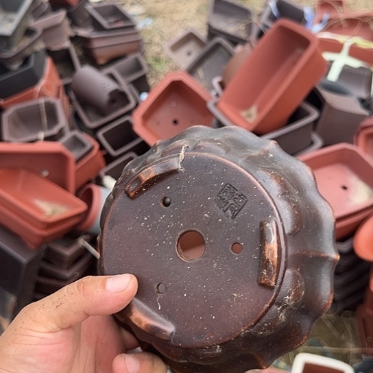 是因为它具有非常丰富且独特功能