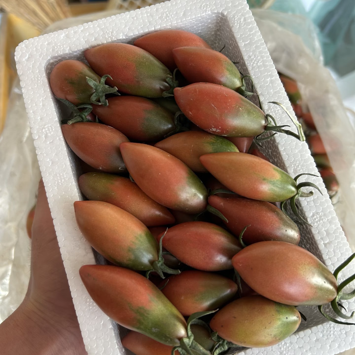 【京东发货】广东汕尾陂洋紫弹头小番茄 三岭村新鲜采摘脆甜子弹头