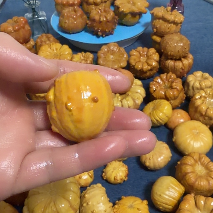 D***u墨西哥七彩疙瘩葫芦