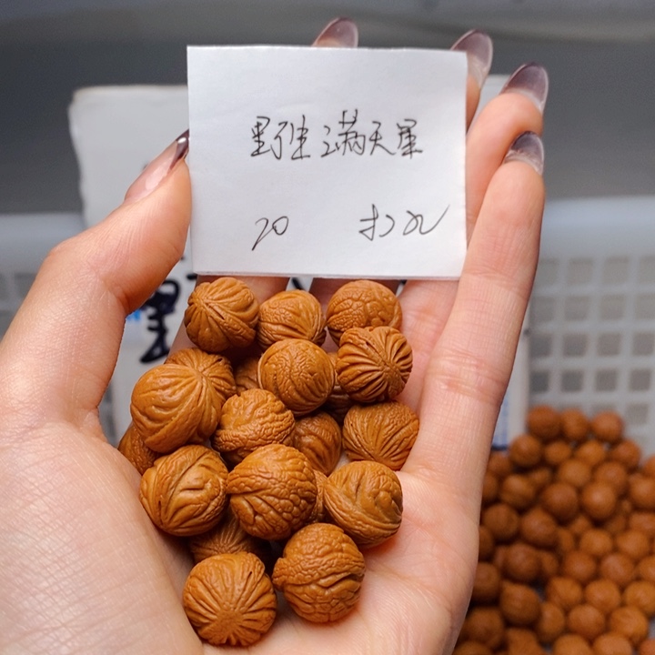 不***名手串桃核13mm左右野生满天星20颗（打孔）
