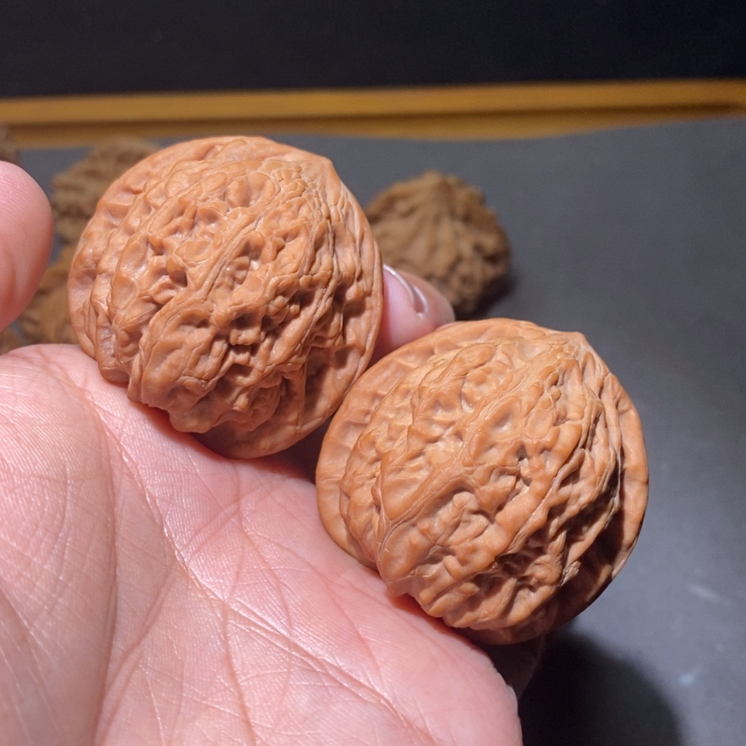 核桃42原树昆仑全品
