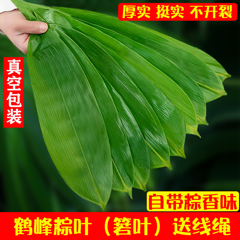 幸福屯新鲜大片粽叶50片*2把（共100片）