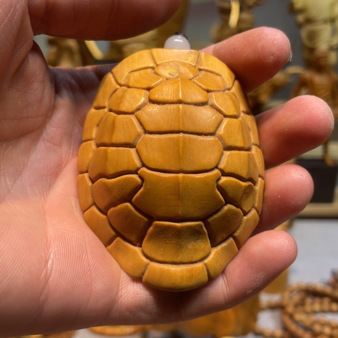 黄杨木黄杨小叶小微瑕