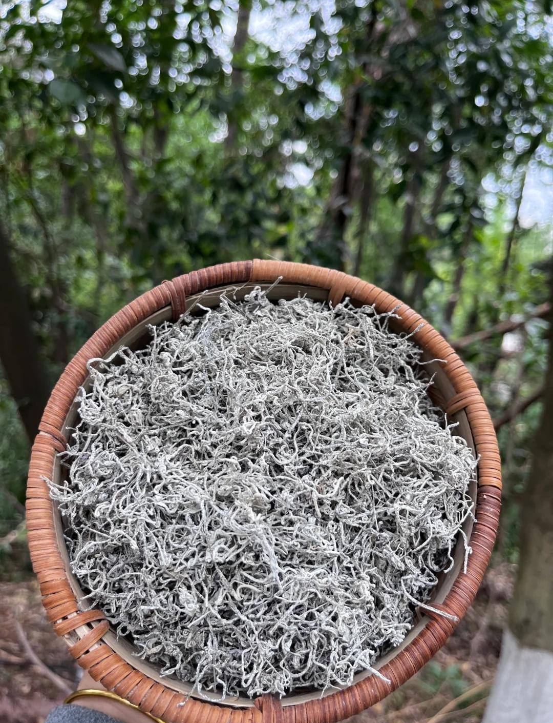 [娟姐现场收茶]高山莓茶