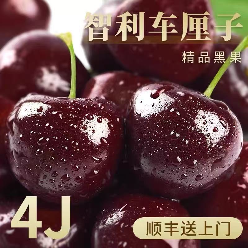 【今天拍明天到】智利进口桑提娜2-4JD车厘子海运2500g内附果径卡桑提娜樱桃智利共和国