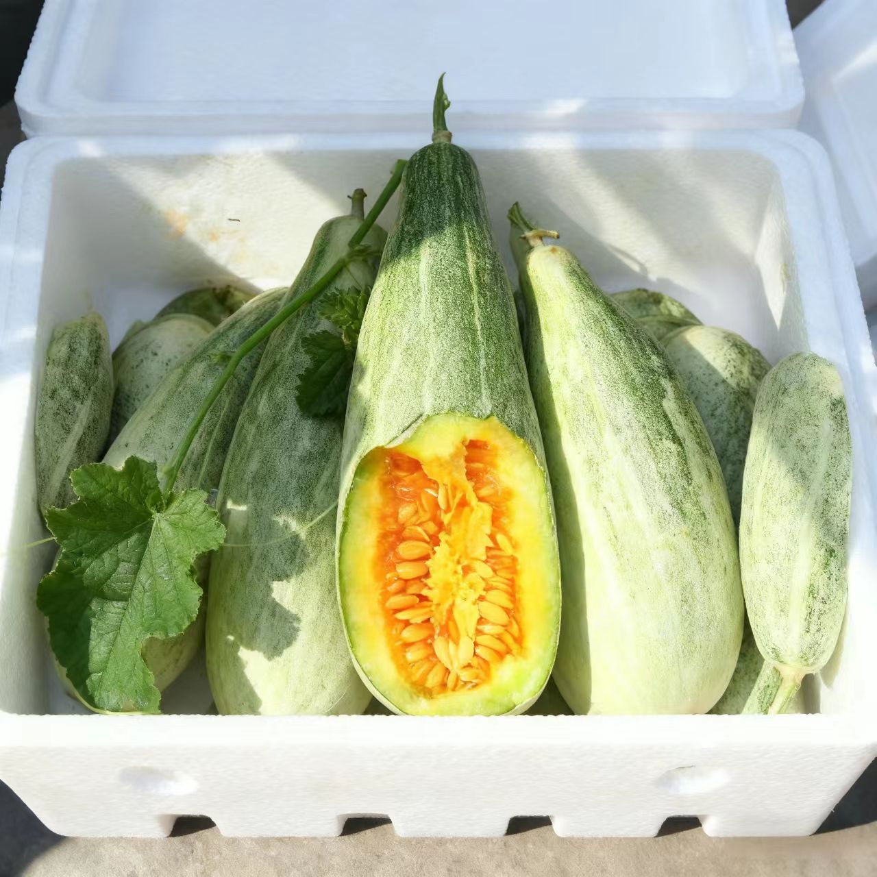 【整箱批发】正宗山东羊角蜜甜瓜当季热卖新鲜水果脆甜多汁爆甜口