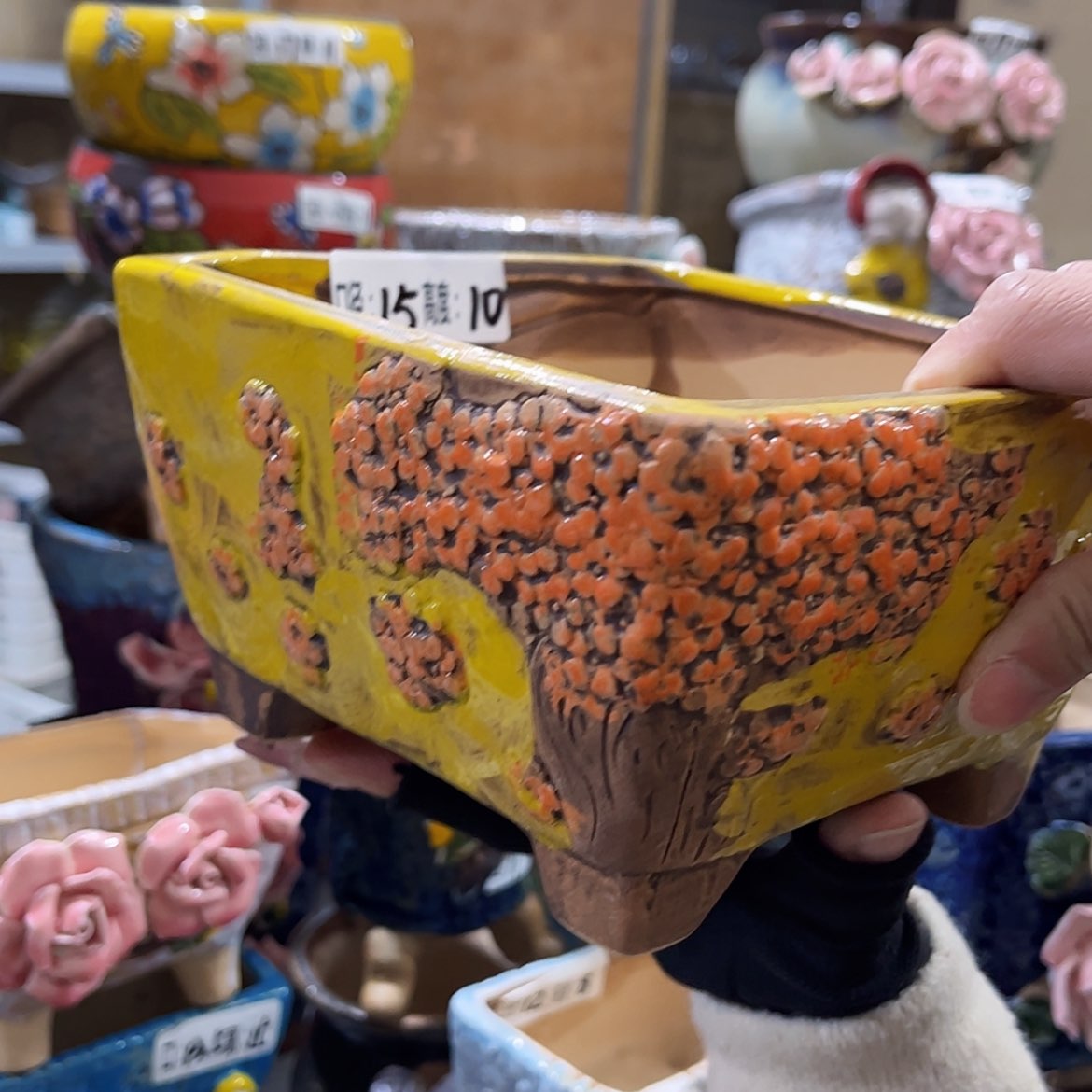 【闪购商品】红陶福利