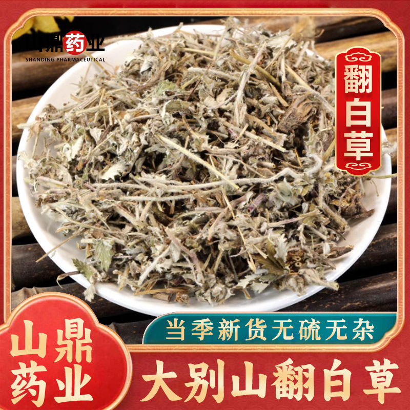 山鼎药业【翻白草】  正宗翻白草  散装干货翻白  反白草番白草