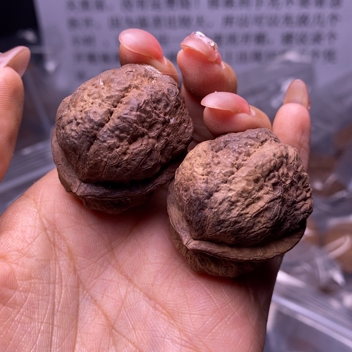 核桃云南野生铁核桃94号37mm