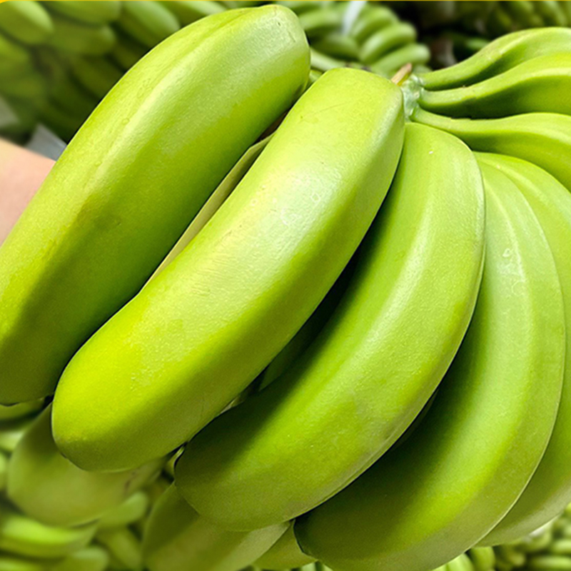 【需催熟】云南香蕉9斤 