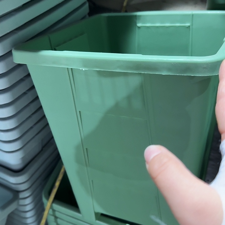 编号403果绿无托4个