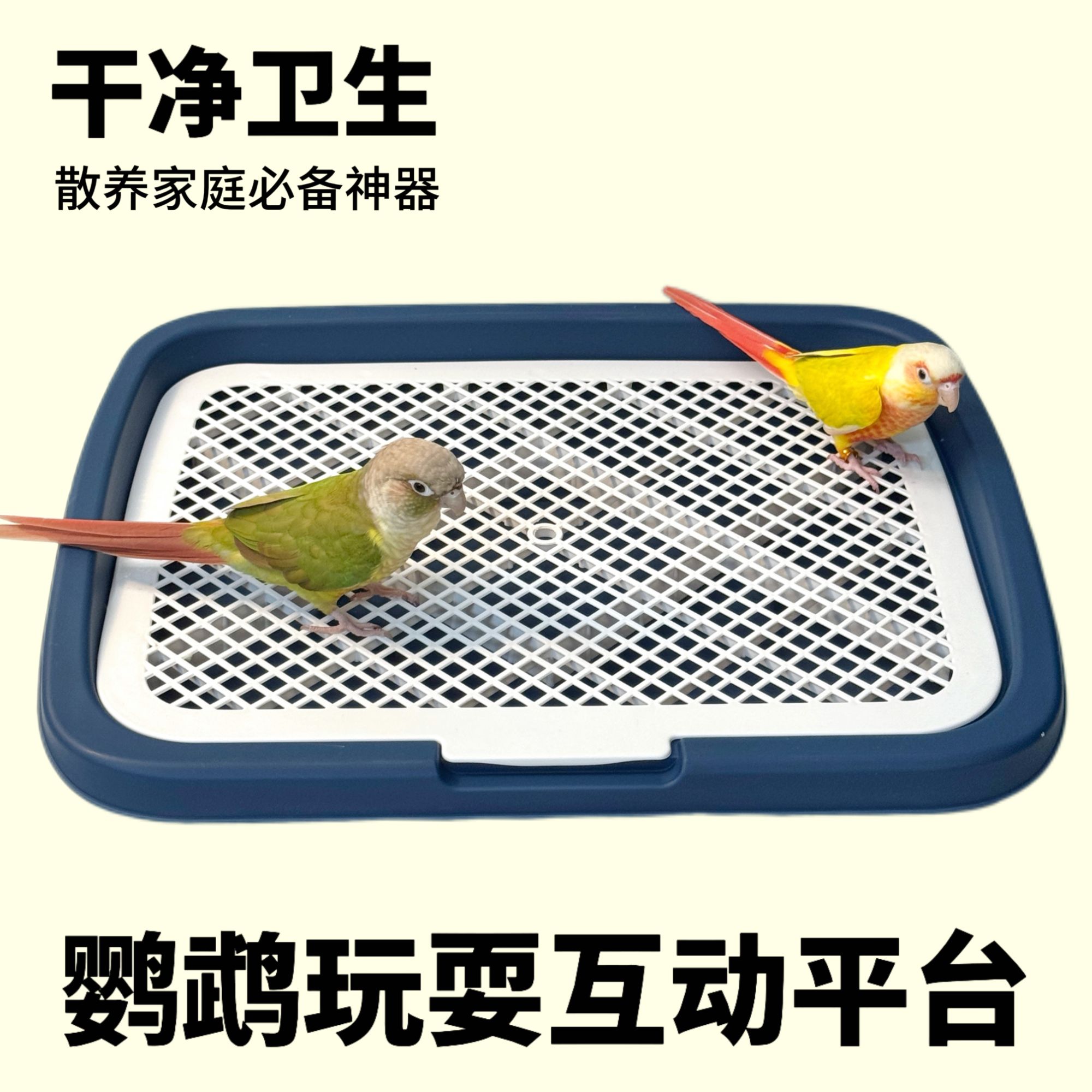九九小鹦鹦鹉玩耍互动平台小型适用厕所双层设计防外溅防踩屎尿盆