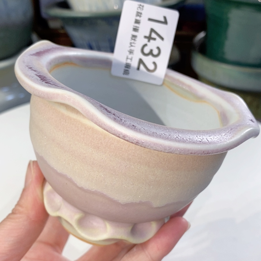 花盆花盆花盆花盆