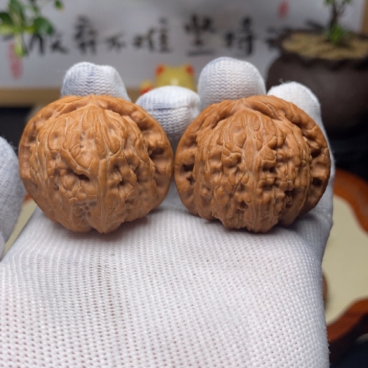 文玩核桃把件全品白狮子球白41.5