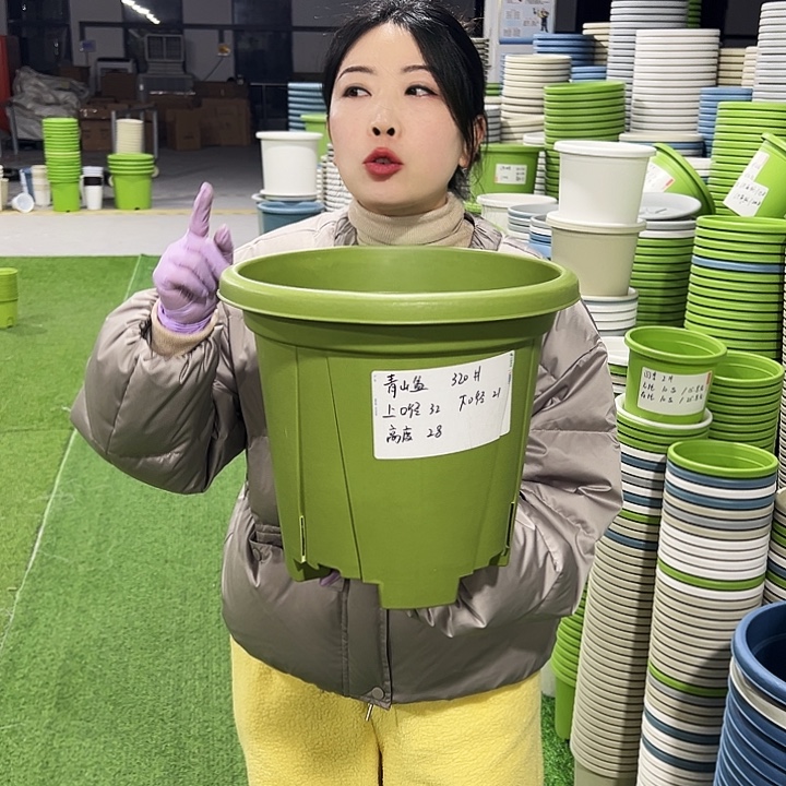 清仓青山口32高28果绿5只无托