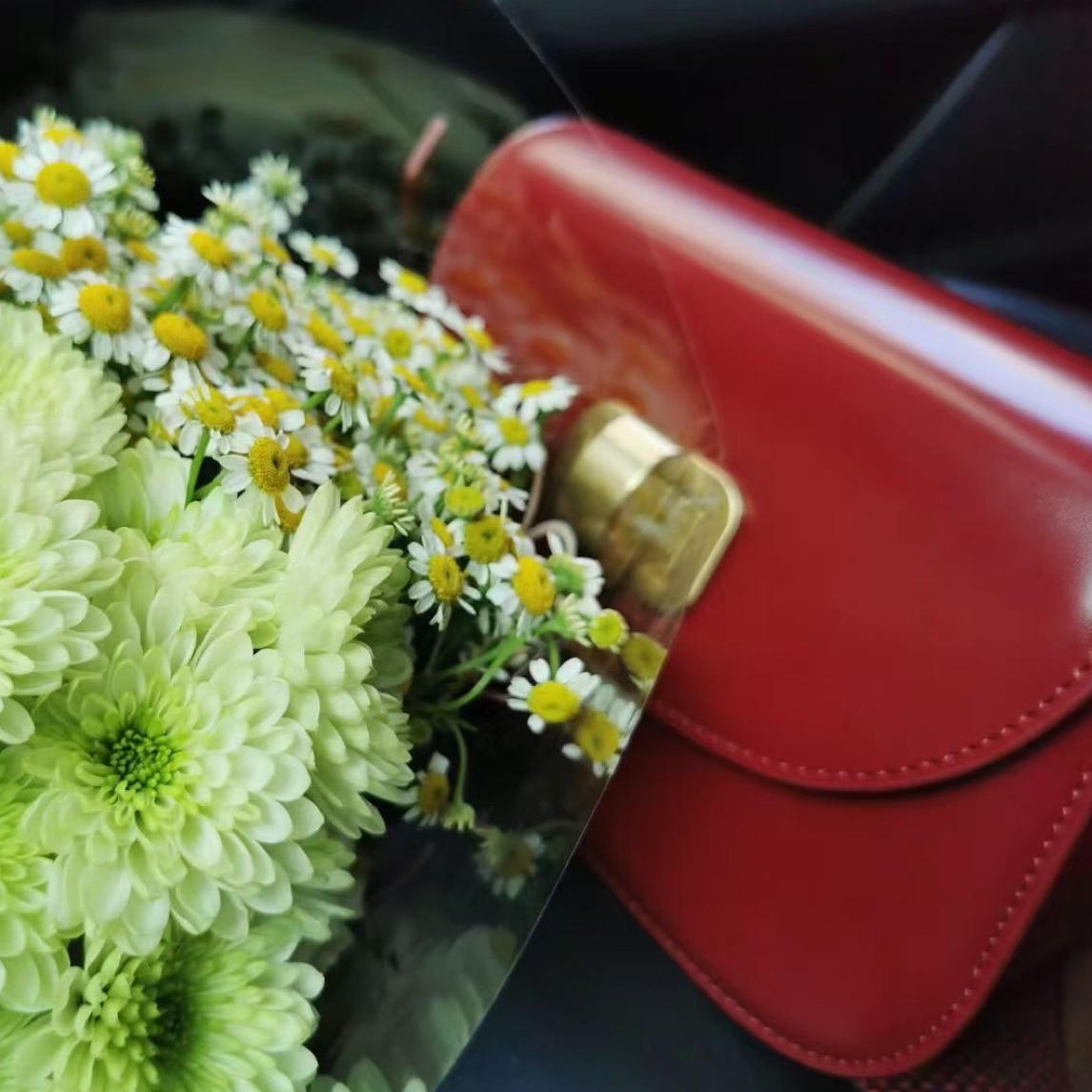 爱彼熊  欧韩气质轻奢时尚休闲百搭小众包包