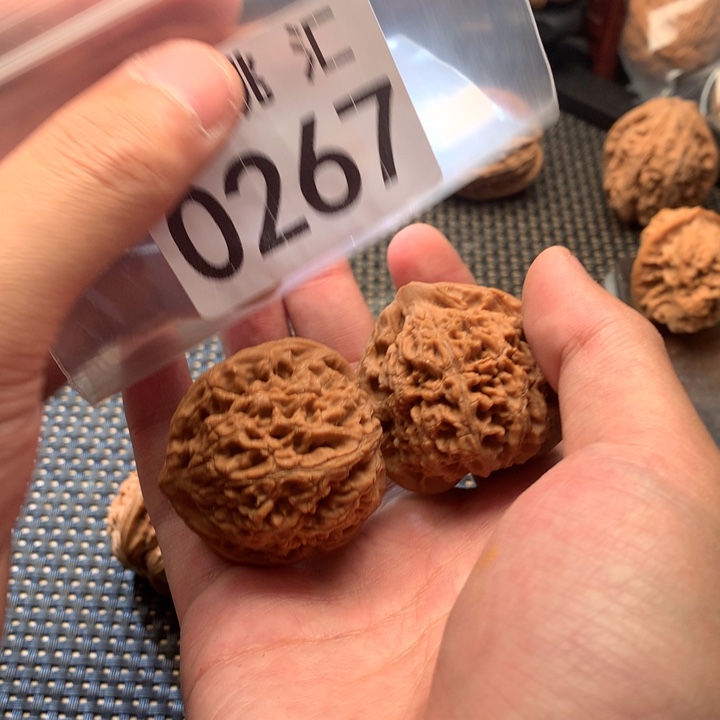 文玩核桃吊坠水龙