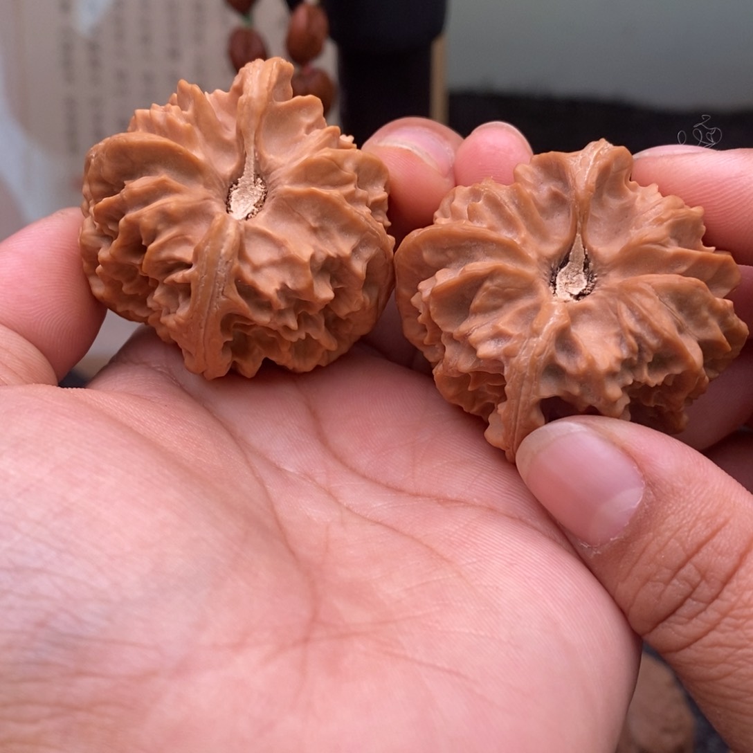 文玩核桃把件39曹大龙