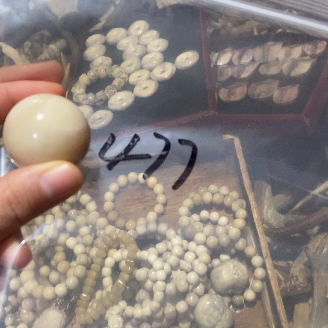 行***水非金属鹿角鹿角鹿角