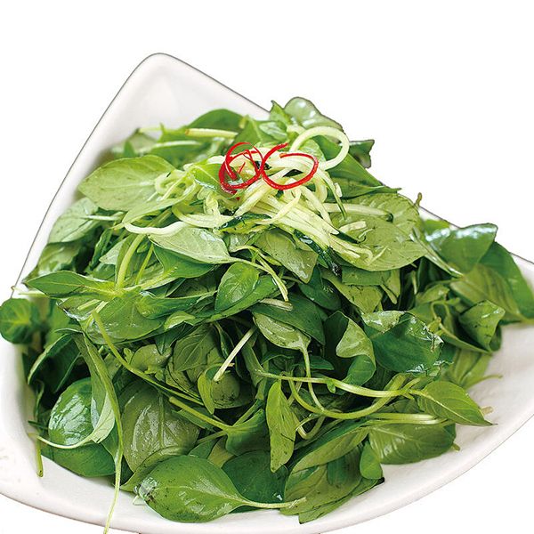 荆芥 约50g/份