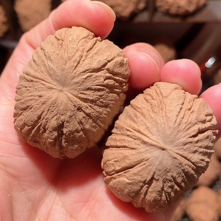 文玩核桃吊坠42尺大猴头核桃