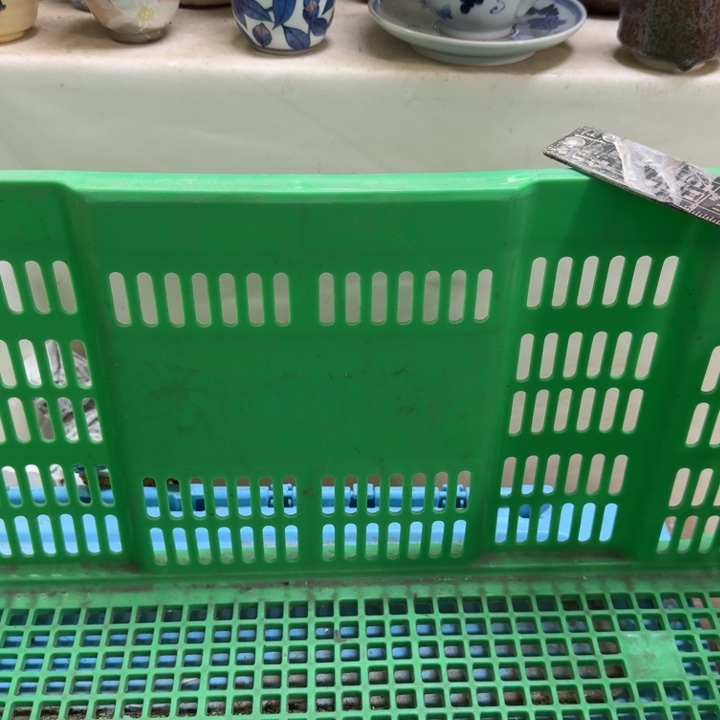 欣***瓷片开播啦…开播啦！