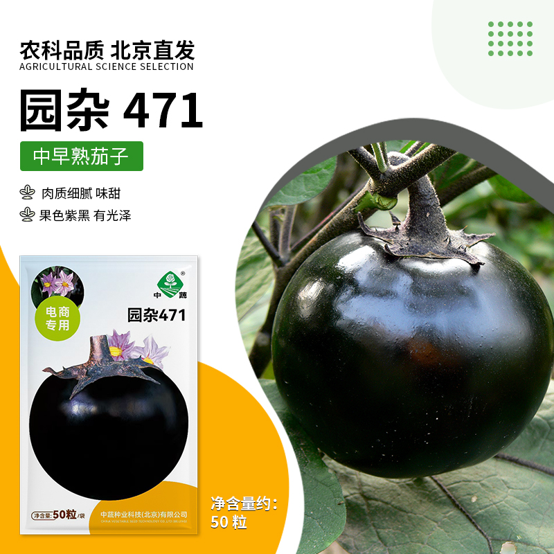【农科院中蔬】圆茄子种子阳台盆栽简单易种好管理庭院种植蔬菜