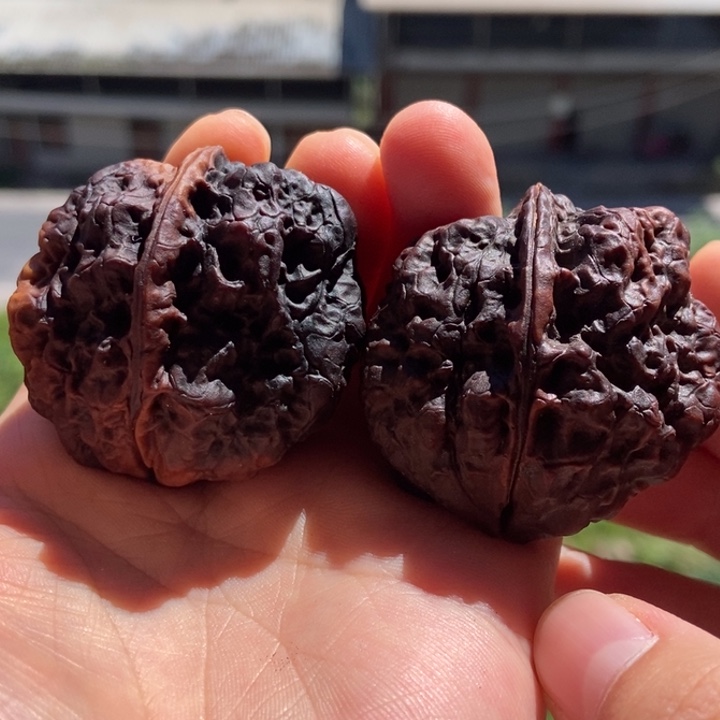 什***桥把件文玩核桃九五龟背