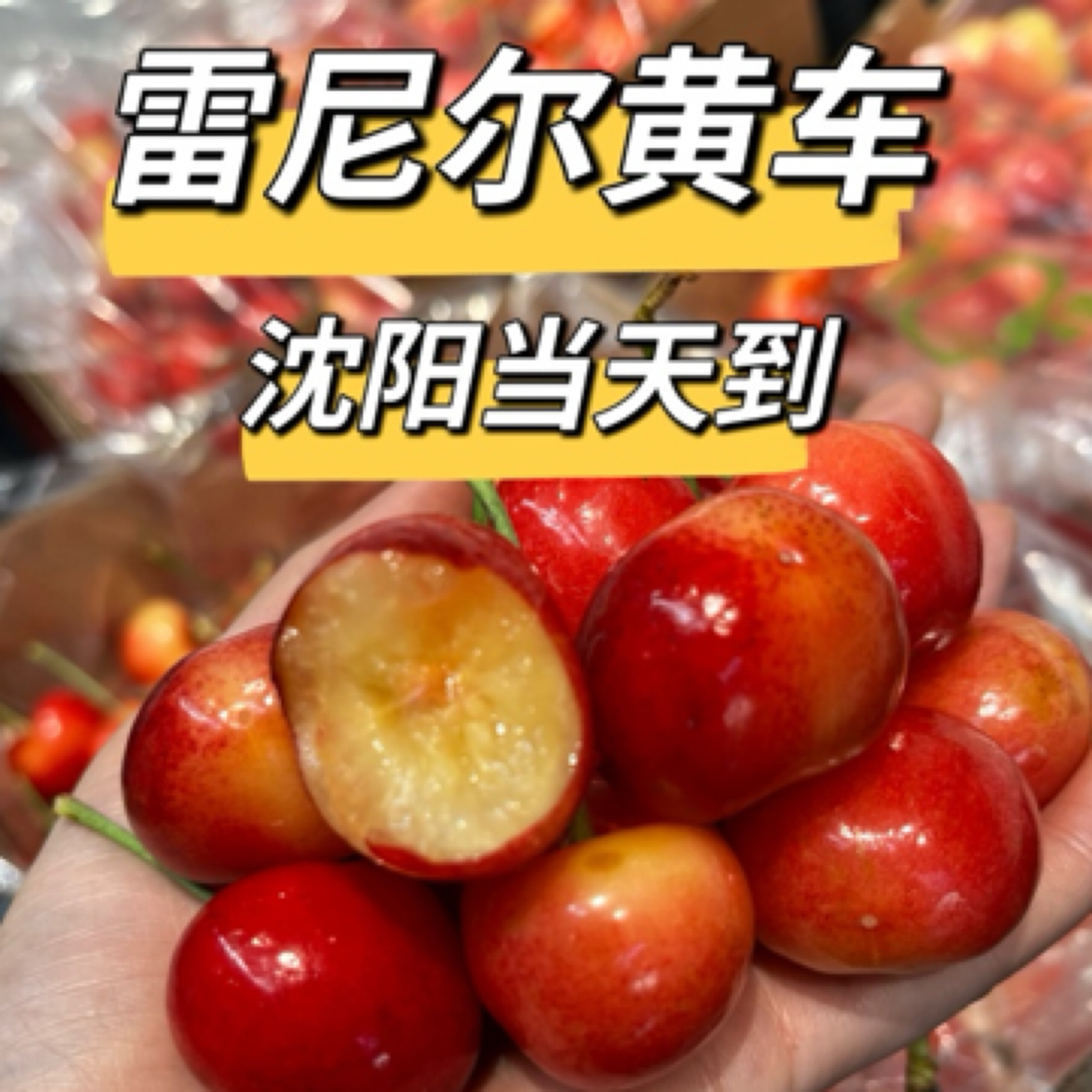 【沈阳二环当天到】海运2J起雷尼尔黄车厘子净重4.4斤10颗内坏果，锈斑正常现象内附果径卡雷尼尔樱桃智利共和国