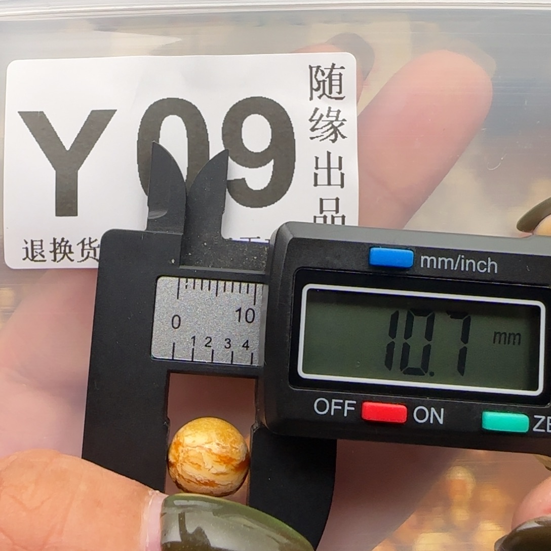 琥珀未镶嵌裸石10尺寸福利