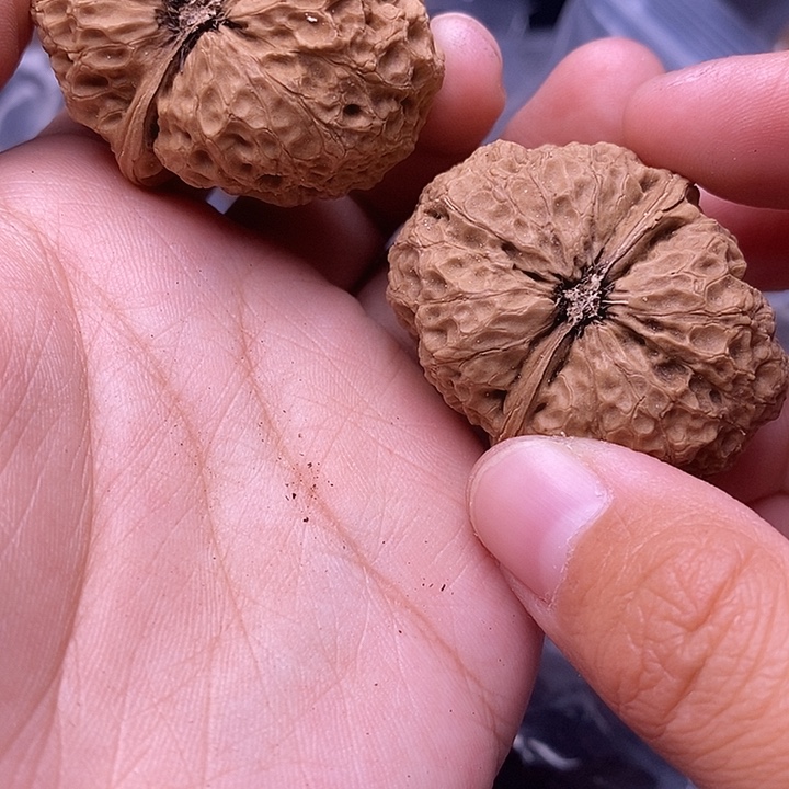 把件文玩核桃   39